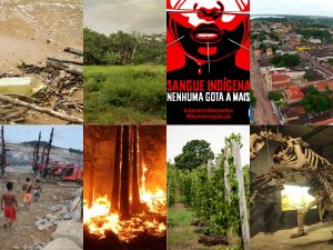 EXPO |  La déforestation en Amazonie brésilienne @ Hall de l’Université Paris Descartes