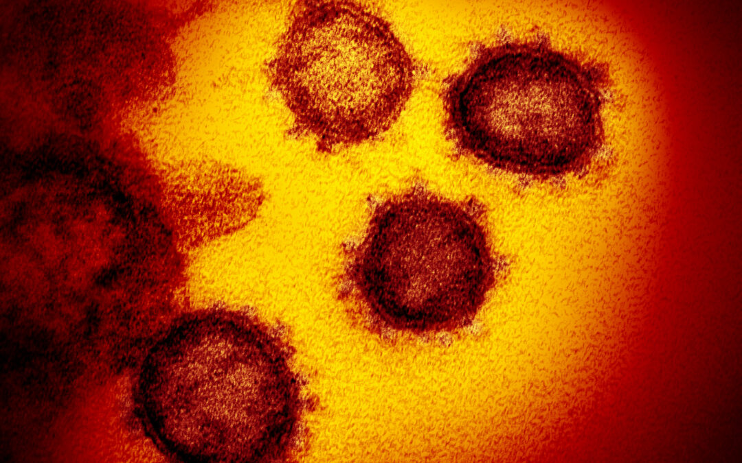 Coronavirus – Mesures de prévention