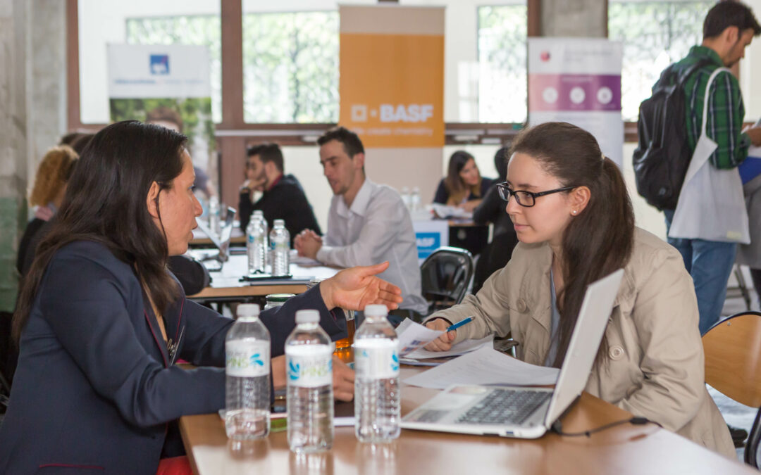 S’orienter et se professionnaliser à l’Université