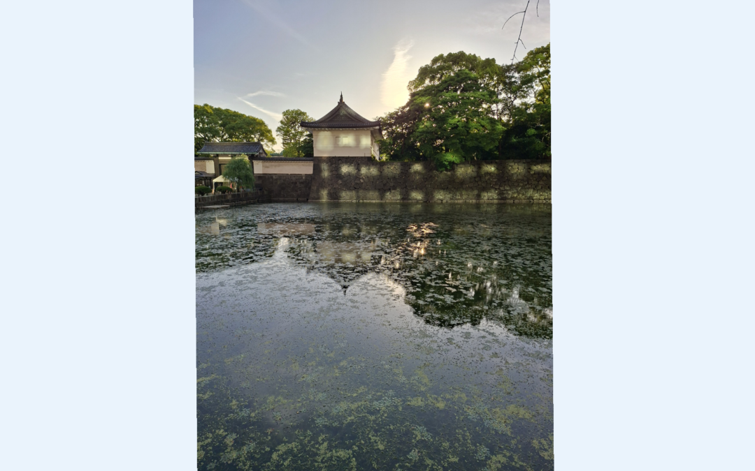 Une visite insolite à la Maison franco-japonaise et au-delà : retour sur une mission au Japon